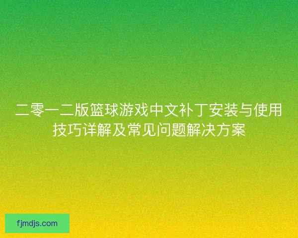 二零一二版篮球游戏中文补丁安装与使用技巧详解及常见问题解决方案